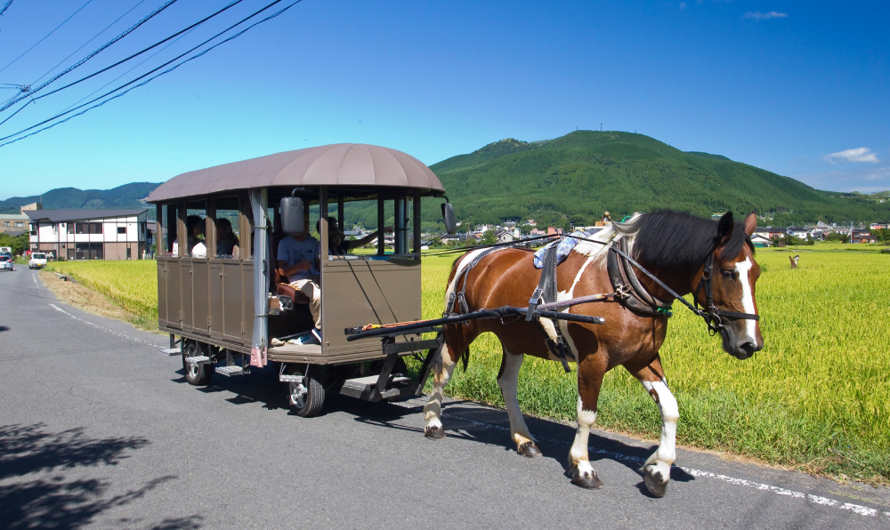 観光辻馬車